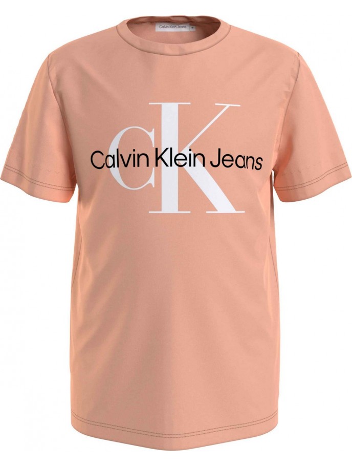 CAMISETA NIÑO CALVIN KLEIN IU0IU00267