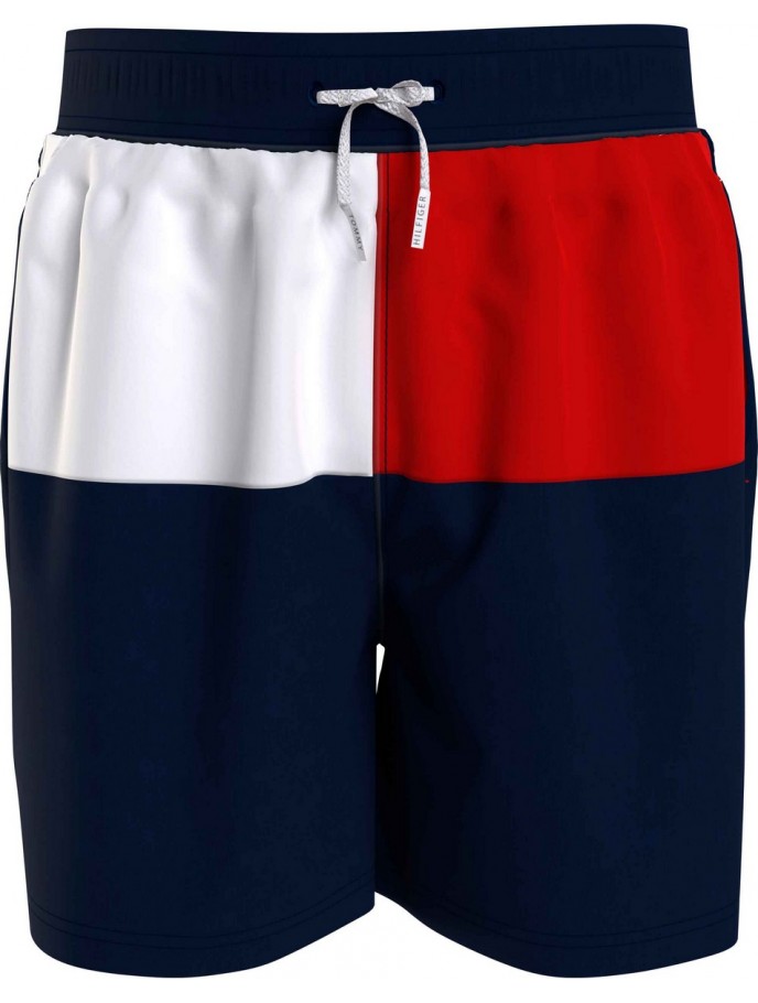 BAÑADOR NIÑO TOMMY HILFIGER UB0UB00527