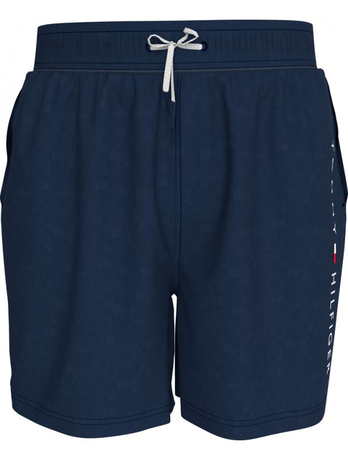 BAÑADOR NIÑO TOMMY HILFIGER UB0UB00528